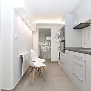 Pronájem bytu 1+1 40 m² Jihlava, Letní