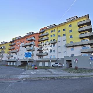 Prodej bytu 4+kk 94 m² Pelhřimov, Dolnokubínská