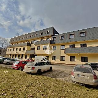 Pronájem bytu 2+kk 65 m² Třešť, Palackého