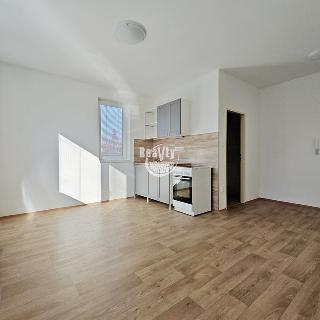 Pronájem bytu 1+kk a garsoniéry 24 m² Jihlava, Letní