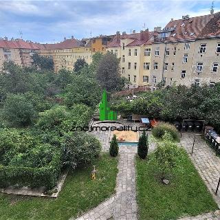 Pronájem bytu 1+1 41 m² Znojmo, Vrchlického