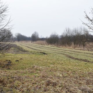 Prodej louky 1685 m² Velký Třebešov