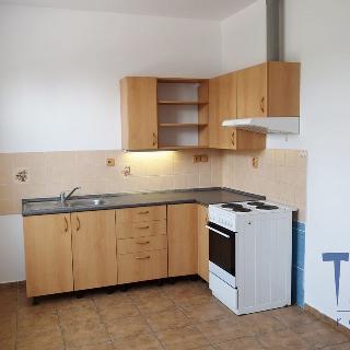 Pronájem bytu 2+kk 55 m² Dvůr Králové nad Labem, 