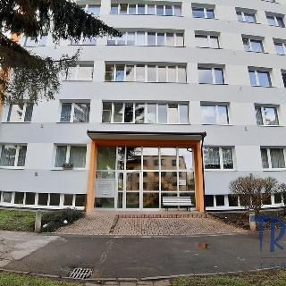 Pronájem bytu 1+kk a garsoniéry 26 m² Dvůr Králové nad Labem, Macharova