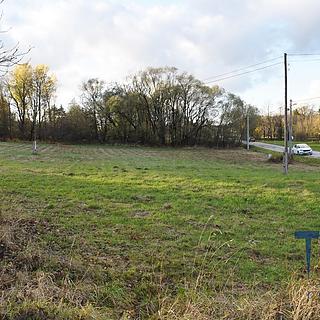 Prodej stavební parcely 2398 m&sup2; Borovnice