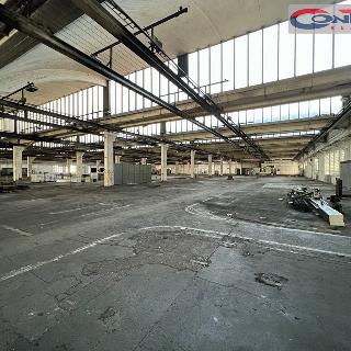 Pronájem výrobního objektu 10000 m² Kladno