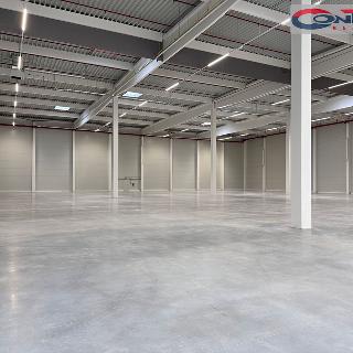 Pronájem skladu 29 469 m² Myslinka, 