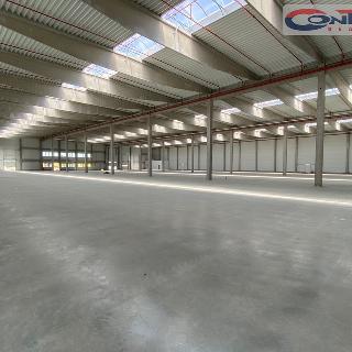 Pronájem ostatního komerčního prostoru 8 000 m² Příšovice, 