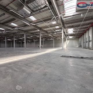 Pronájem skladu 23 919 m² České Budějovice, Stradonická