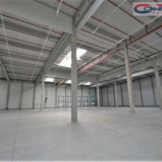 Pronájem ostatního komerčního prostoru 12 420 m² Modřice, U Vlečky