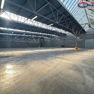 Pronájem skladu 8 000 m² Žatec, Purkyněho