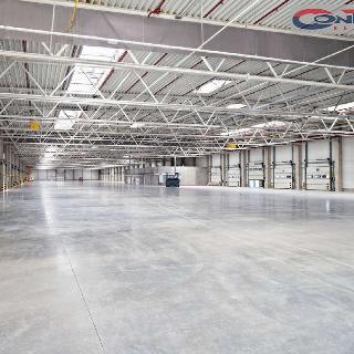 Pronájem skladu 15 000 m² Plzeň, Ke Karlovu