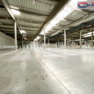 Pronájem skladu 32 900 m² Velká Bíteš Košíkov, Průmyslová