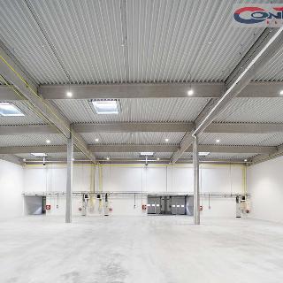 Pronájem výrobního objektu 5 000 m² Mikulov, Nádražní