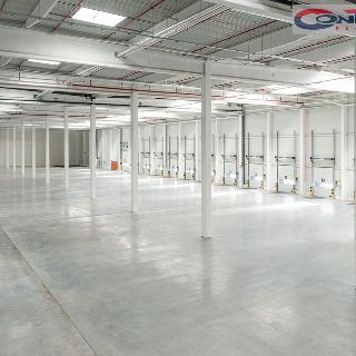 Pronájem skladu 16 000 m² Ostrava, 