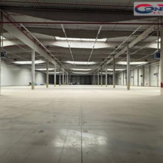 Pronájem výrobního objektu 32 693 m² Bor, 