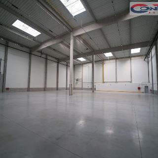 Pronájem skladu 2 425 m² Řepov, 