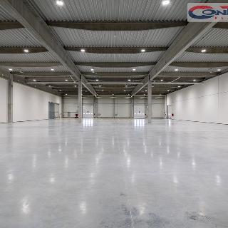 Pronájem skladu 2 000 m² Těrlicko, Topolová