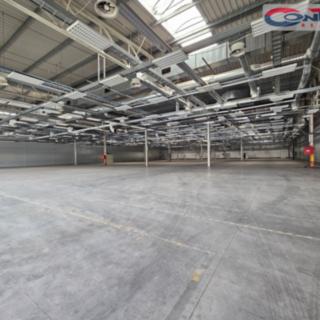 Pronájem výrobního objektu 19555 m² Plzeň