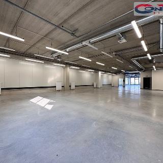 Pronájem skladu 2460 m² Praha