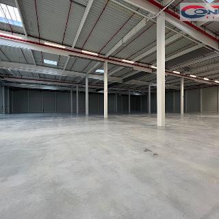 Pronájem skladu 3 500 m² Myslinka, 