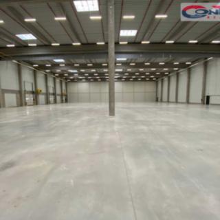 Pronájem skladu 16 000 m² Vejprnice, Tyršova