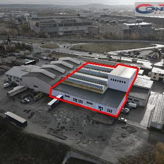 Pronájem ostatního komerčního prostoru 2 735 m² Plzeň, Domažlická