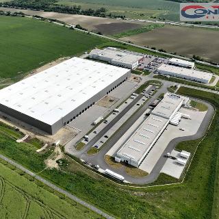 Pronájem skladu 23 000 m² Hustopeče, Brněnská