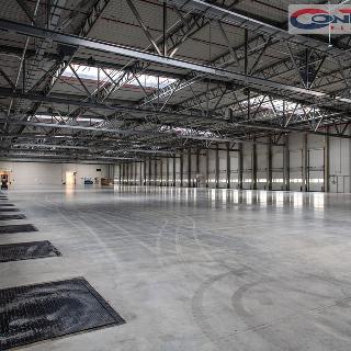 Pronájem skladu 8000 m² Ostrava