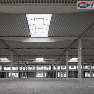 Pronájem výrobního objektu 16 000 m² Brno, Trnkova