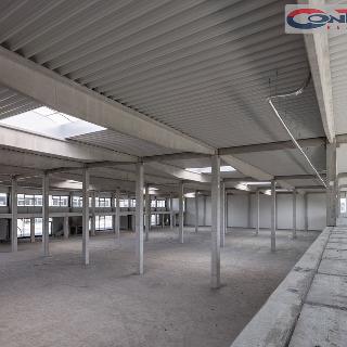 Pronájem ostatního komerčního prostoru 16 000 m² Brno, Trnkova