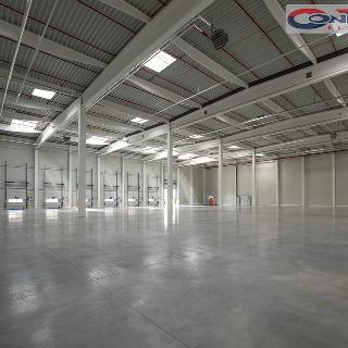 Pronájem výrobního objektu 16 000 m² Ostrava, 