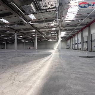 Pronájem skladu 10000 m² Velký Osek