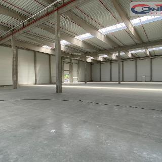 Pronájem ostatního komerčního prostoru 6 200 m² Kolín, Zengrova