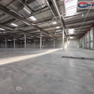 Pronájem skladu 6 810 m² České Budějovice, Stradonická