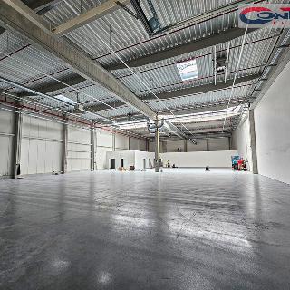 Pronájem ostatního komerčního prostoru 1 152 m² Ostrava, Podzámčí