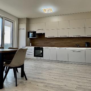 Pronájem bytu 4+kk 116 m² Ostrava, Důlní