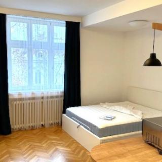 Pronájem bytu 1+kk a garsoniéry 27 m² Praha, Koperníkova