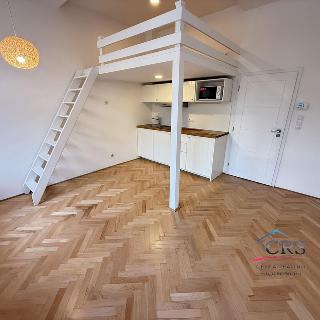 Pronájem bytu 1+kk a garsoniéry 26 m² Praha, Pobřežní