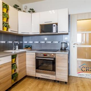 Pronájem bytu 1+kk a garsoniéry 37 m² Praha, Freyova