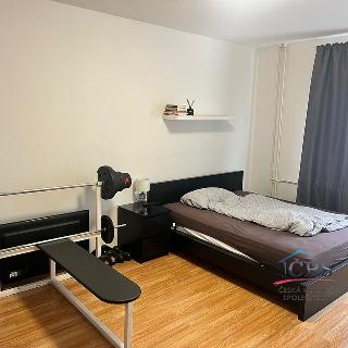 Pronájem bytu 2+1 52 m² Praha, Místecká