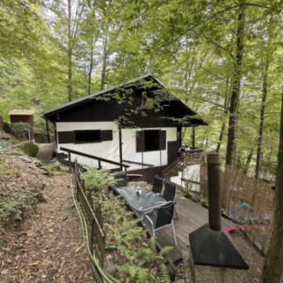 Prodej chaty 40 m&sup2; Štěchovice