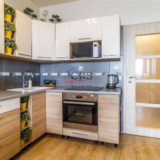 Pronájem bytu 1+kk a garsoniéry 37 m² Praha, Freyova