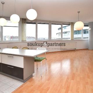 Pronájem bytu 2+kk 75 m² Praha, Petržílkova