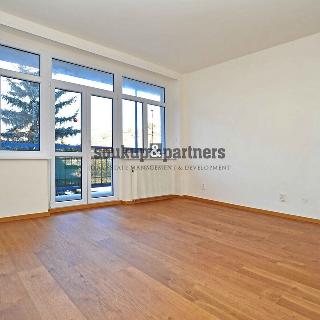 Prodej bytu 2+kk 67 m² Štěchovice, Hlavní