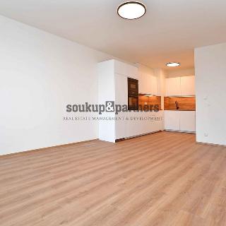 Pronájem bytu 2+kk 55 m² Praha, Kardausova