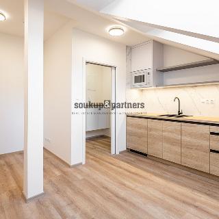 Prodej bytu 1+kk a garsoniéry 28 m² Praha, Sinkulova