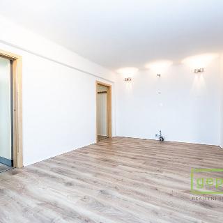 Pronájem bytu 3+1 57 m² Praha, U zastávky