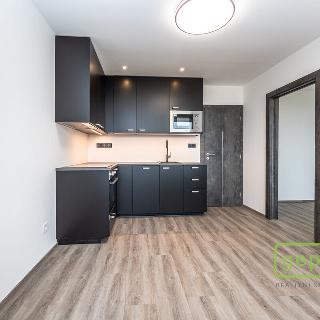 Pronájem bytu 2+kk 32 m² Praha, Tenisová