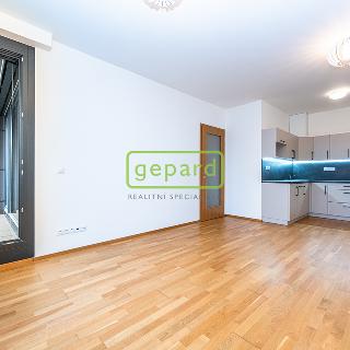 Pronájem bytu 2+kk 49 m² Praha, U průhonu